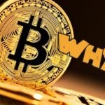 Por qué bitcoin?